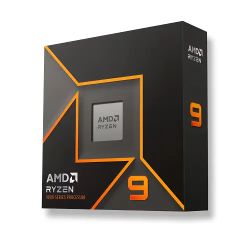 AMD Ryzen 9 9900X 12-Kern CPU, Boxed