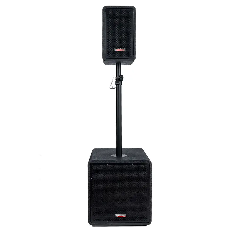 AudioDesign Pro Combo 1265 Sistema Attivo Subwoofer e cassa altoparlante satellite amplificata professionale con Bluetooth e Lettore USB, 2 ingressi Mic / Line, presa AUX, RCA, Link Out, TWS, nero