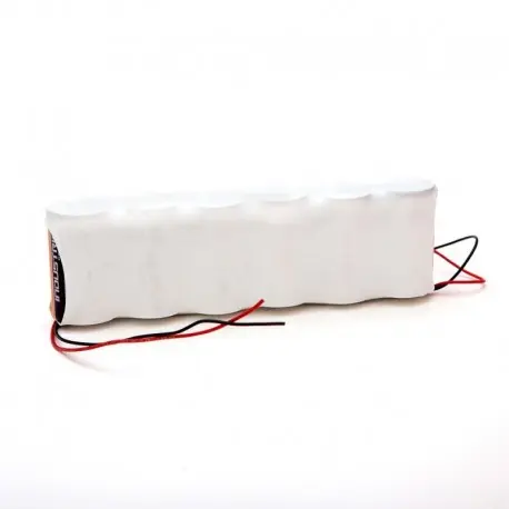 Batteria per antifurto alcalina 9 V sistemi duevi