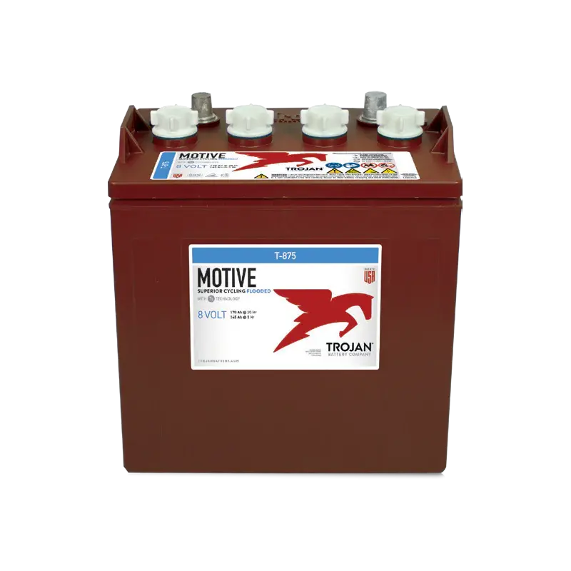 Batteria Trojan T-875 8 V 170 Ah per Golf Cart