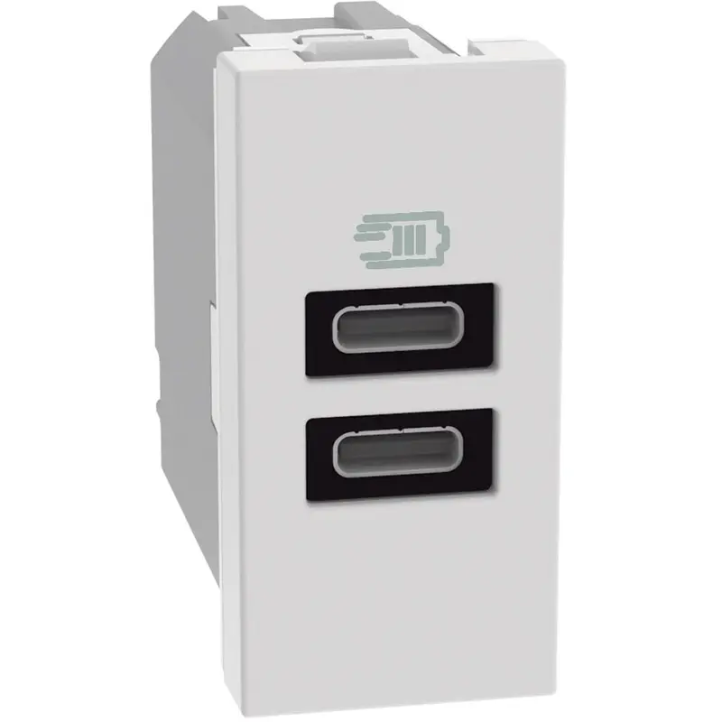 BTICINO MatixGO Caricatore USB Bianco con due porte tipo C - 15W JW4191CC