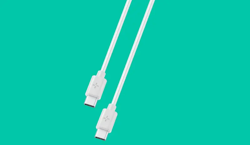 Cavo USB type c + type c
