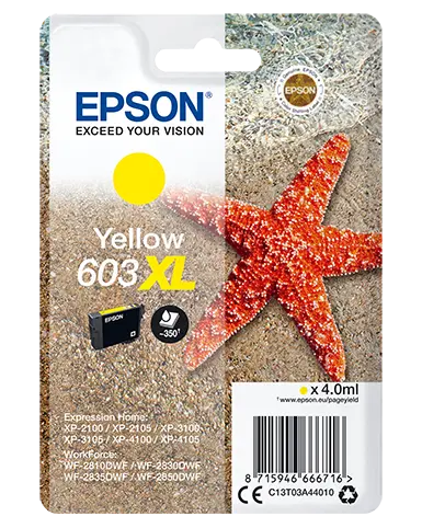 EPSON CARTUCCIA INK GIALLO, STELLA MARINA, 603 XL
