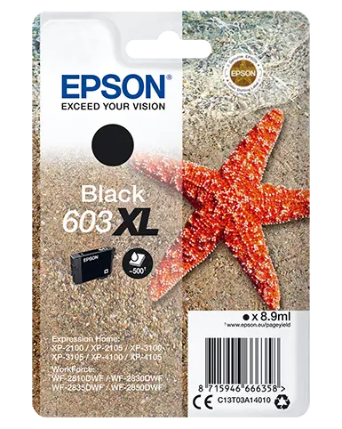 EPSON CARTUCCIA INK NERO, STELLA MARINA, 603 XL