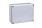 FAEG Scatola di derivazione stagna con pareti lisce E viti in metallo FG13506