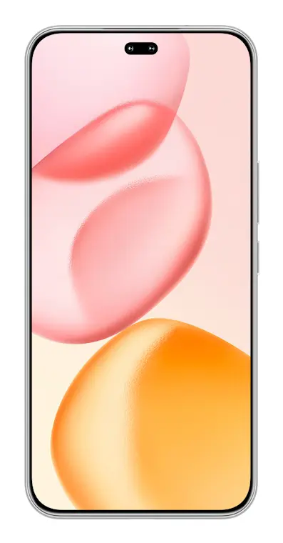 Honor 400 Pro 17 cm (6.7") MagicOS 9.0 5G 12 GB 512 GB 5300 mAh Grigio