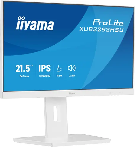 iiyama ProLite XUB2293HSU-W7 21.5 Zoll Full HD IPS LED 16