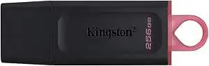 PEN DRIVE KINGSTON 256GB USB 3.2 DTX/256GB