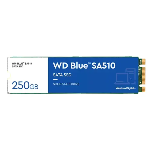 WESTERN DIGITAL SSD INTERNO BLUE 250GB M.2 SATA 6GB/S Read/Write 555/440 Mbs